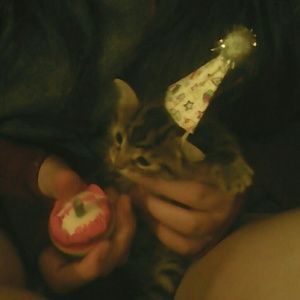 Meet your Posher, Michael